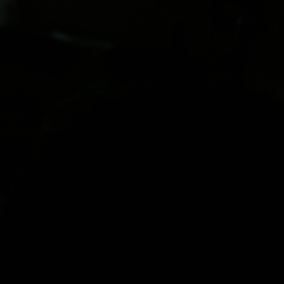 Meet your Posher, Koby - Picture 1 of 1